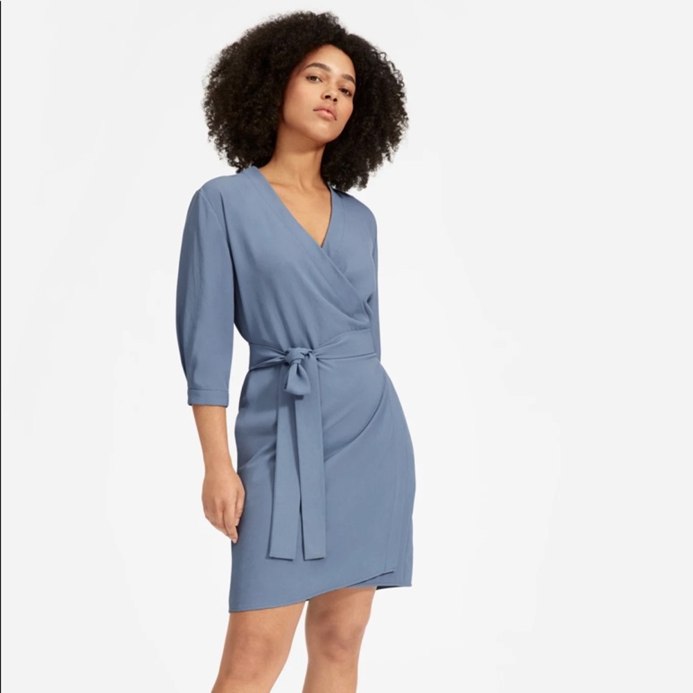 Everlane Japanese GoWeave Long-Sleeve Mini Wrap Dress